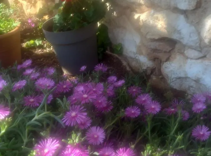 With Parking Space Susica, - 21618 * Ugljan